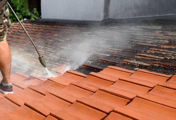 Best Deck Pressure Washing  in Brownsville, TX