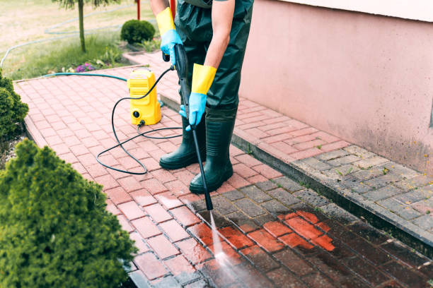 Best Fence Pressure Washing  in Brownsville, TX