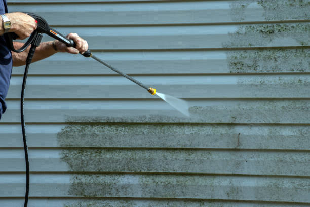 Best Best Pressure Washing Companies  in Brownsville, TX