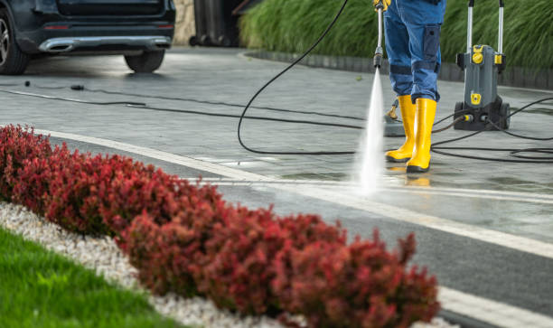 Roof Power Washing Services in Brownsville, TX