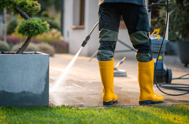 Best Concrete Pressure Washing  in Brownsville, TX